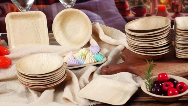 Eco friendly disposable sugarcane plates by SAKRT