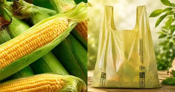 Uses of biodegradable products