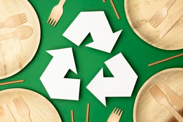 CPCB-certified eco friendly plates the smartest choice you can make today