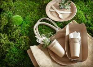 compostable products