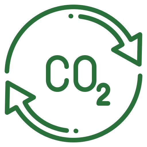 biodegradable-carry-bags-biodegradable-bags-compostable-products-ecofriendly-bags.