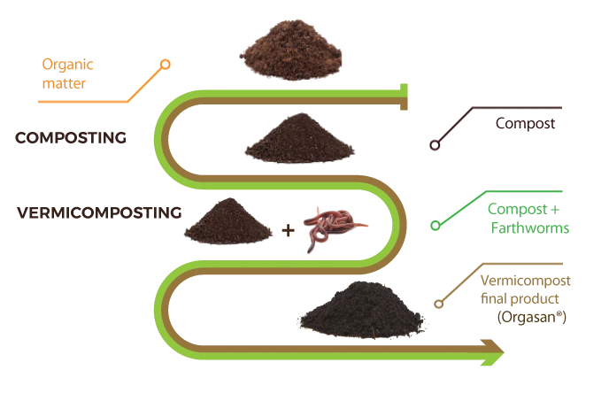 compost and vermicompost