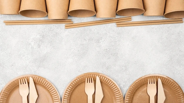 eco-friendly-disposable-tableware-cups-plates