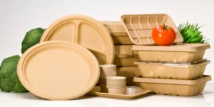 biodegradable tableware
