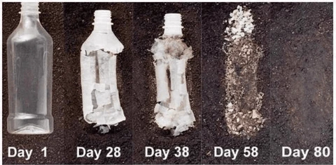 biodegradable water bottles